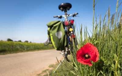Cicloturismo e Noleggio E-Bike